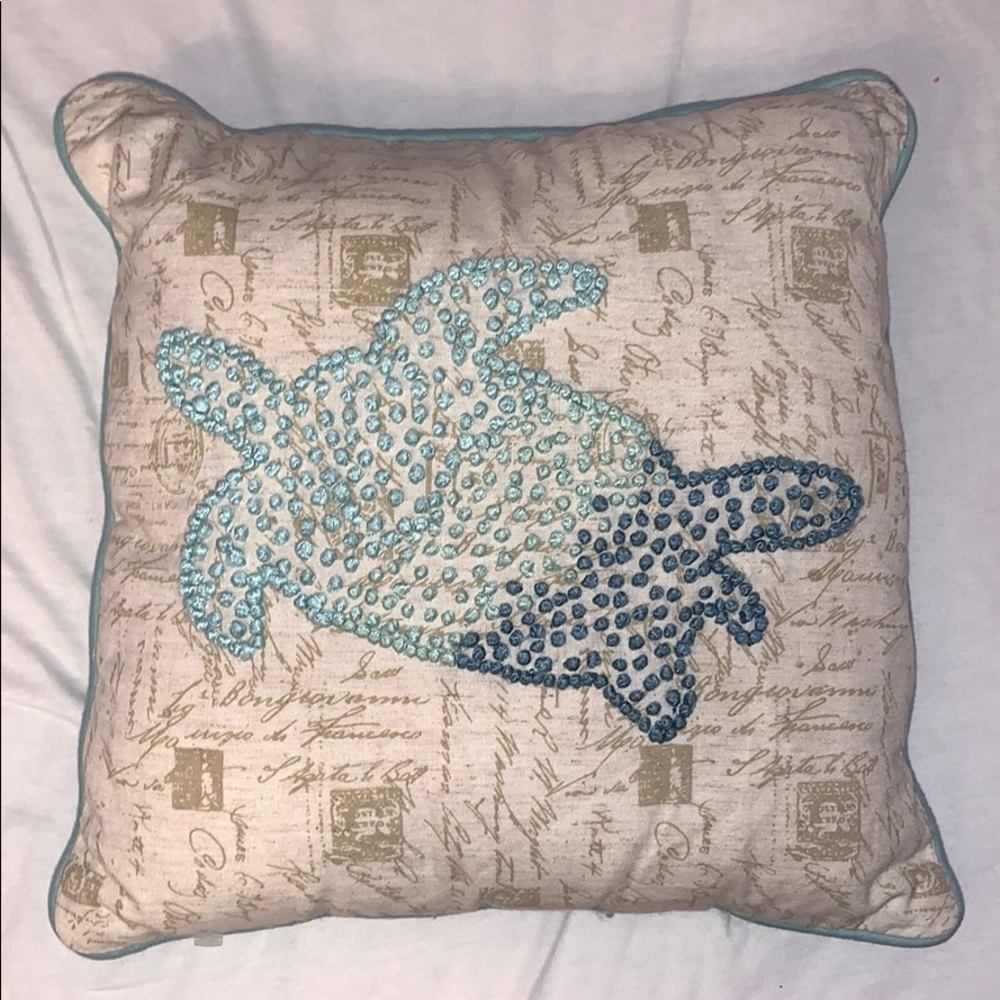 see turtle pillow from pier one